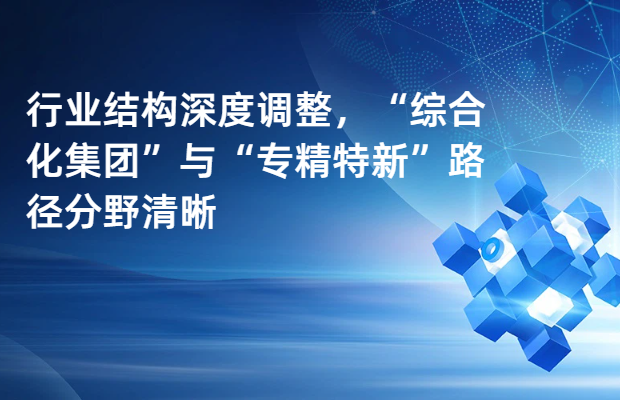 行业结构深度调整，“综合化集团”与“专精特新”路径分野清晰